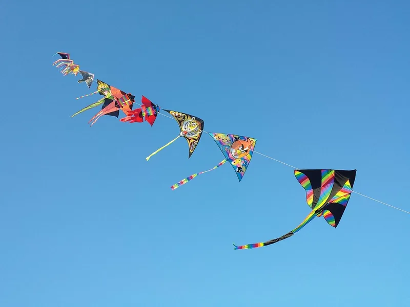 Etang de Chaux : Animations Famille in Peyrat-la-Noniere