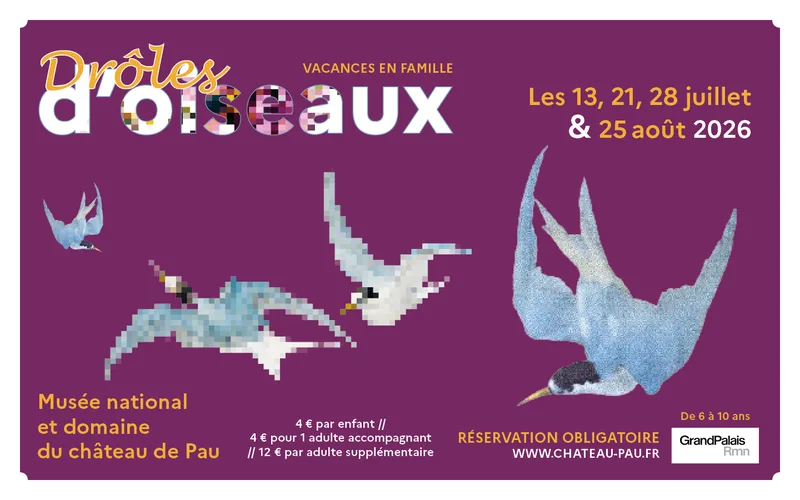 Droles D’oiseaux in Pau
