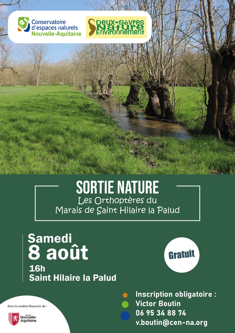 Sortie nature : Les Orthoptères du Marais