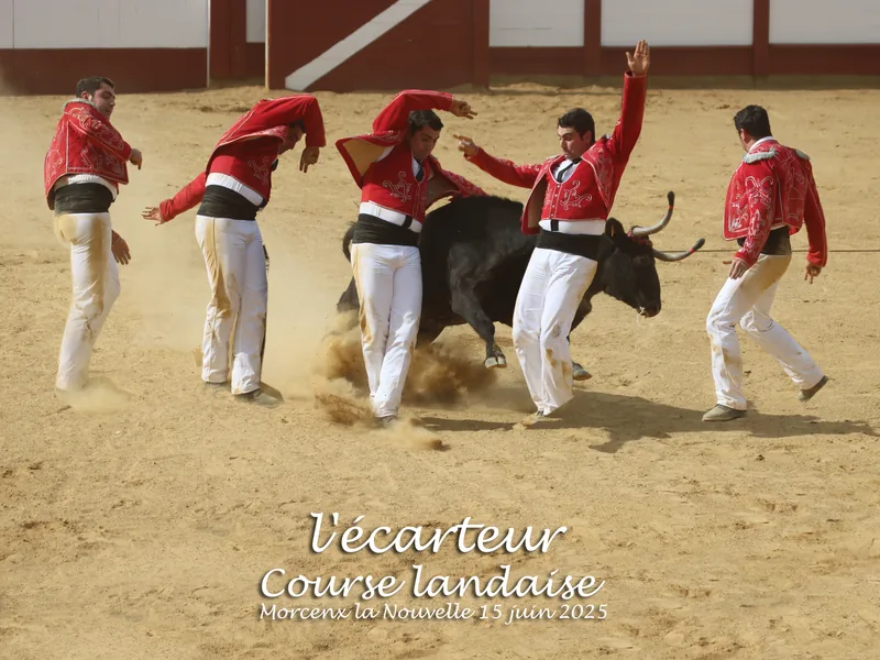 Estivale En Pays Morcenais, “Les Arenes En Fetes !”