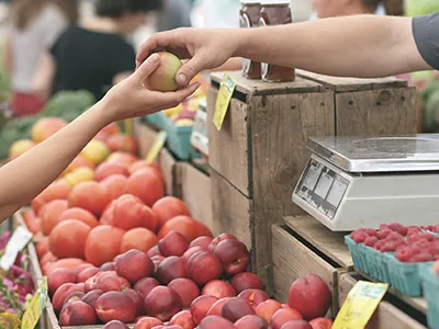 Marche Gourmand in Chalus: Local Producers