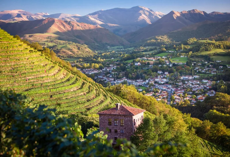 Visite du Vignoble Brana in Ispoure | Basque Wine Tasting