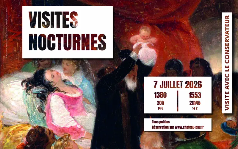 Château de Pau Night Tours: 1380 and 1553