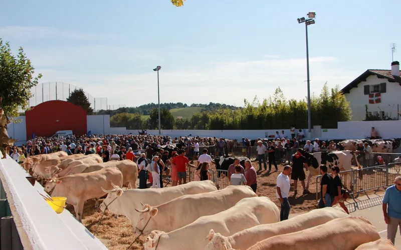 Fetes d’Urrugne – Bixintxo | Basque Patronal Festival