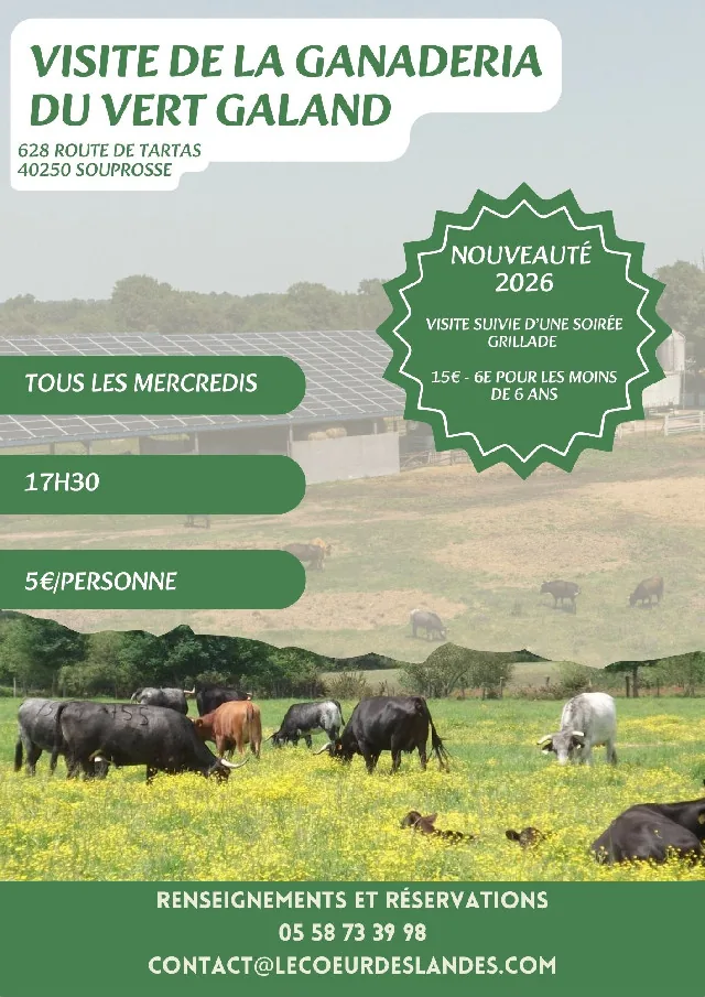 Ganaderia du Vert Galant Visit in Souprosse