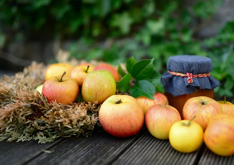Fête de la pomme in Saint-Bazile: Local Food Culture