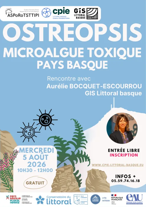 Ostréopsis : microalgue toxique en Pays Basque – Rencontre