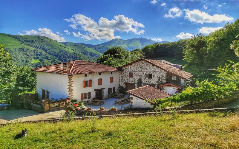 Visite de la Ferme Ametzalde (fromage de Brebis Ossau Iraty, Miel e…