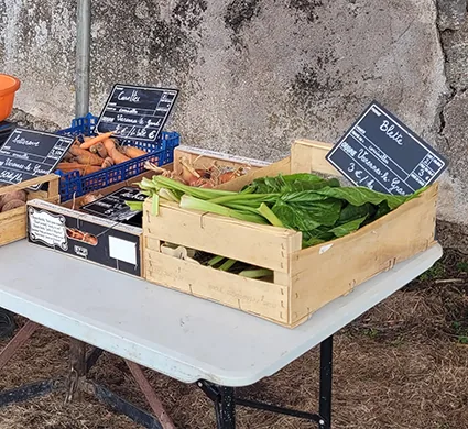 Le Petit Marché-Café in Saint-Jean-de-Trézy: Local Products