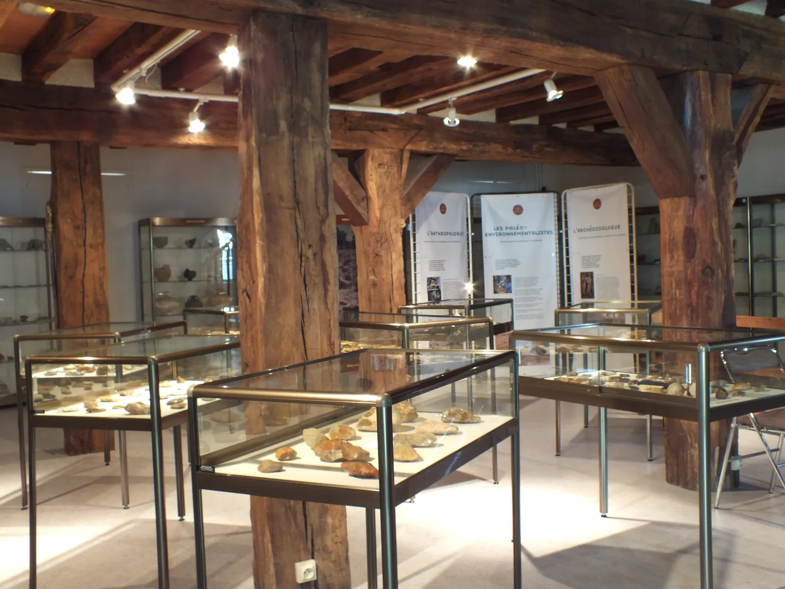 Châtillon-sur-Loire: From Fossils to Local History