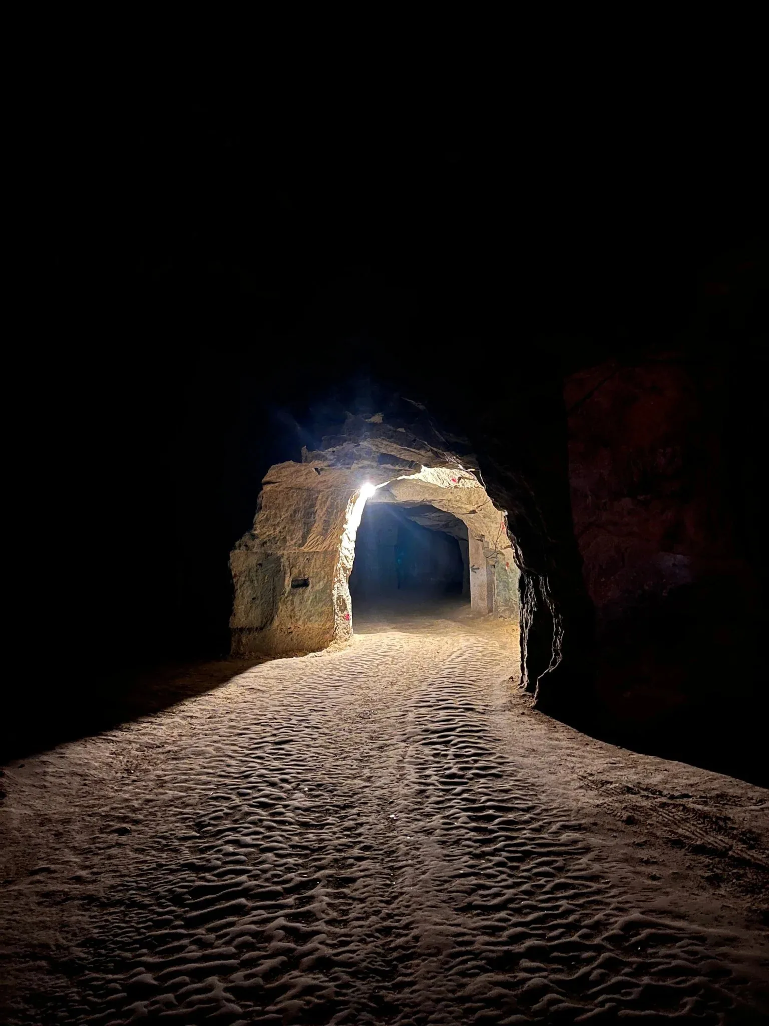 La Chopinière du Roy: Cellar Tour and Loire Wines