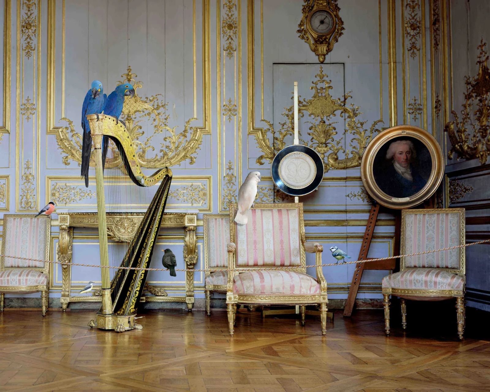 Karen Knorr’s Animal Worlds at Azay-le-Rideau