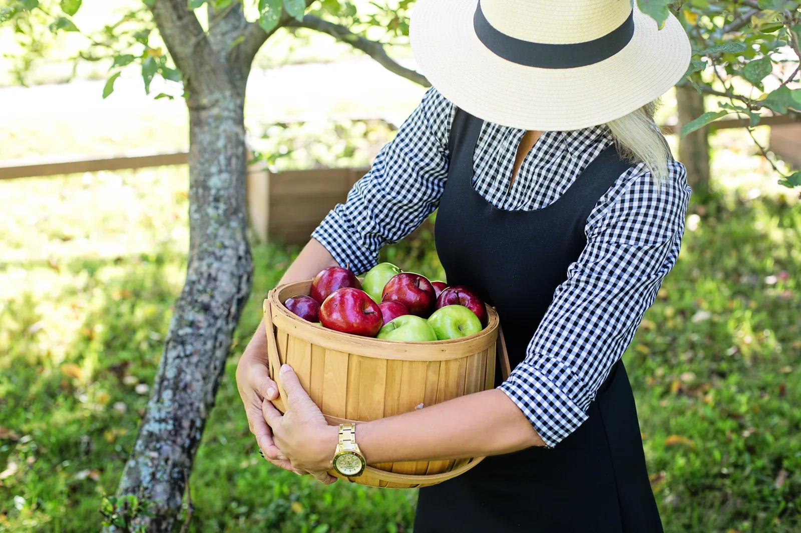 Fête de la Pomme à Saint-Aignan-le-Jaillard