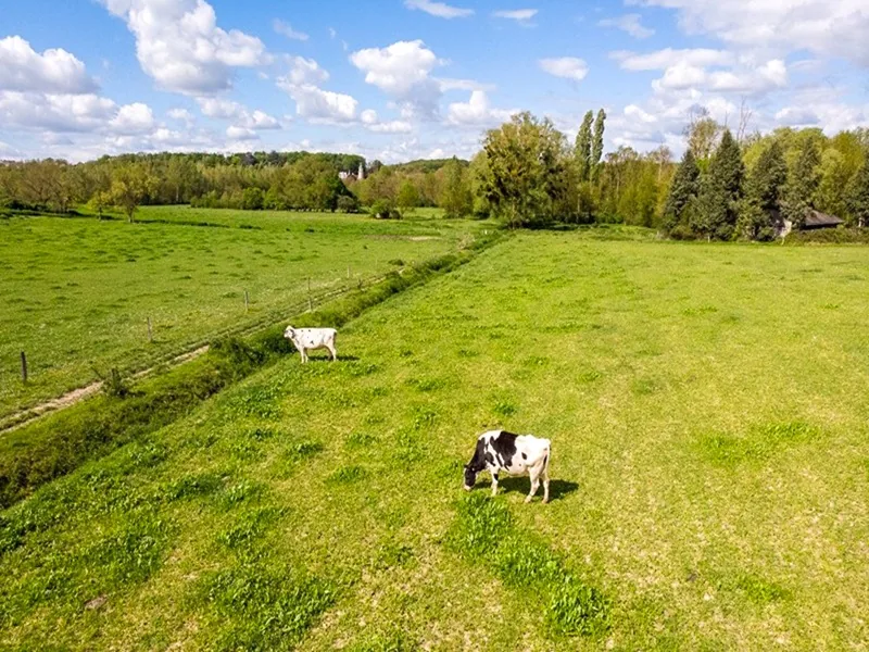 Beaux Lieux: Sculpture and Landscape in Loches