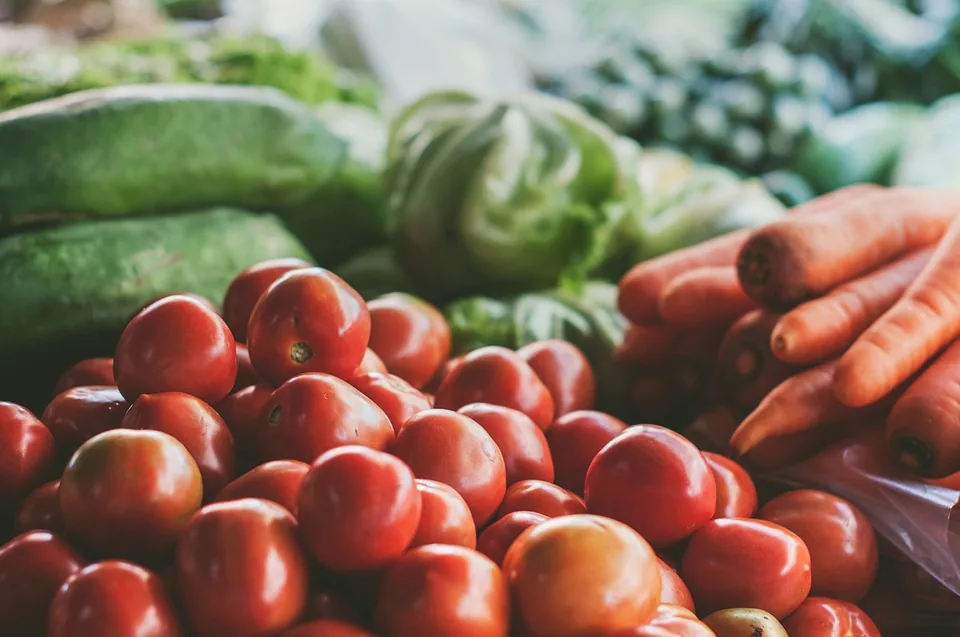 Weekly Market in Aubigny-sur-Nère: Local Delights