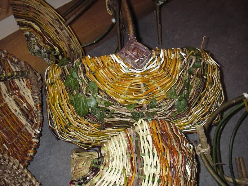 Brenne Basketry: From Wild Plants to Woven Hoops