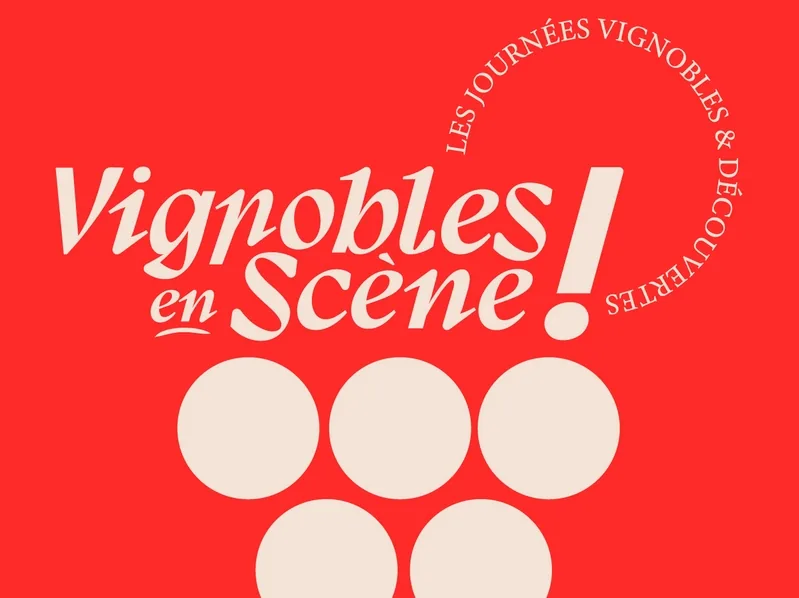 Vignobles en Scène: Bourgueil’s Wine Landscape